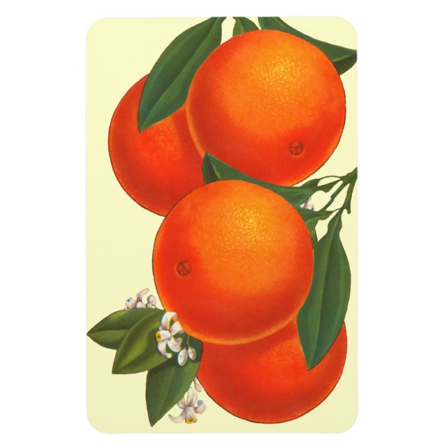 Retro Låda Art Oranges Magnet (Vertikal)