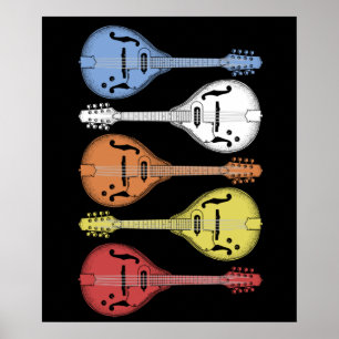 Retro Land Music Mandolin Vintage Bluegräs Poster