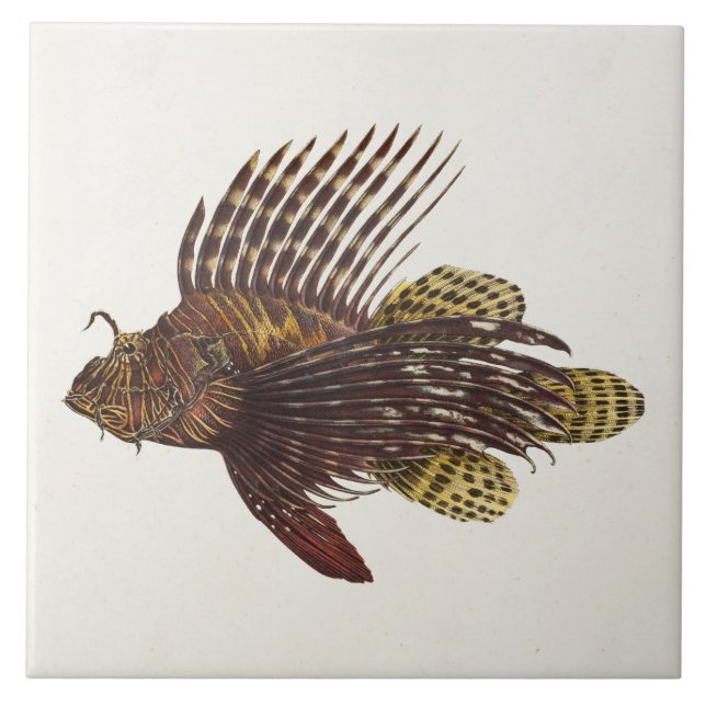 Retro lejon fisk 1905 för kakelplatta (Framsidan)