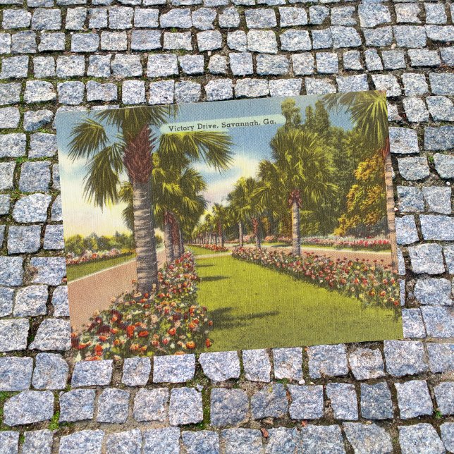 Retro minnesmärke Victory Drive Palms Savannah GA Vykort (Skapare uppladdad)
