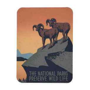 Retro nationalparker reser affischmagneten magnet