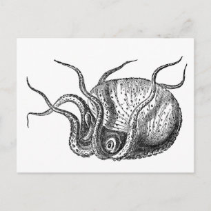 Retro Octopus Vykort