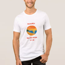 Retro Panarea Solnedgång Havet Dig Snart Vintage