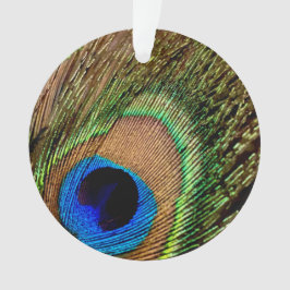 Retro Peacock