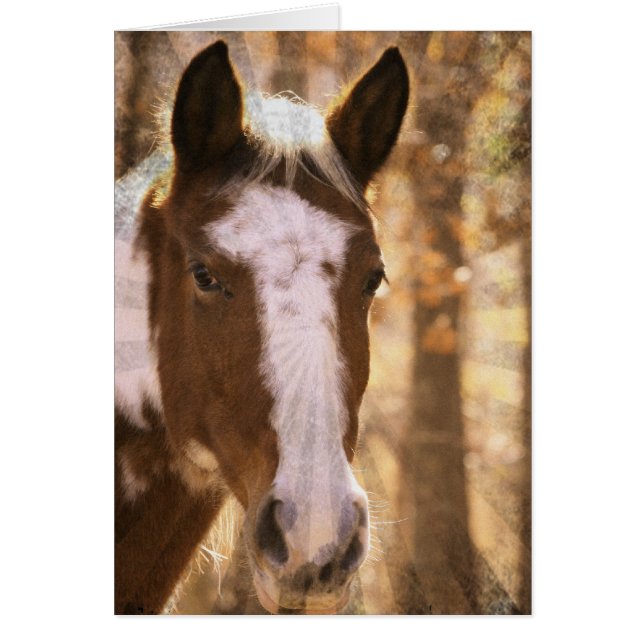 Retro Pinto Hälsningskort (Framsidan)