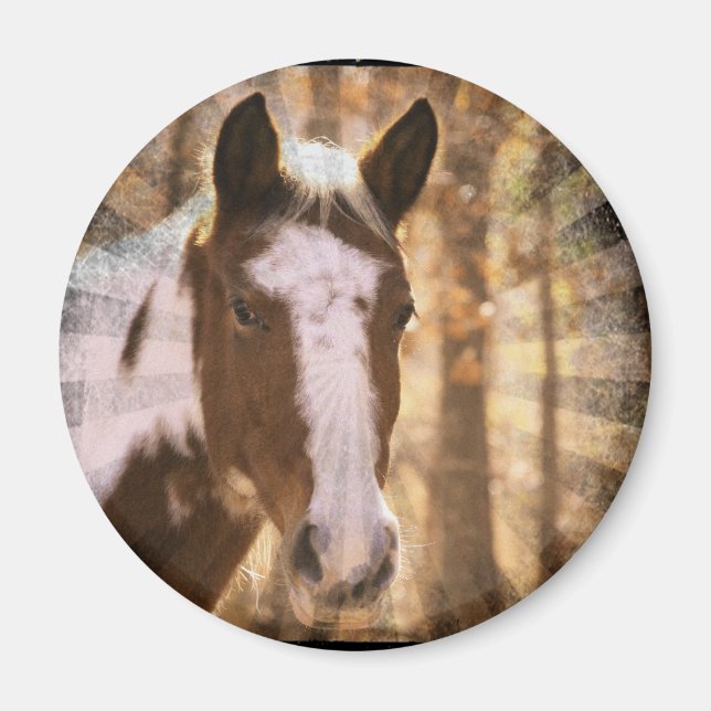 Retro Pinto Magnet (Framsidan)