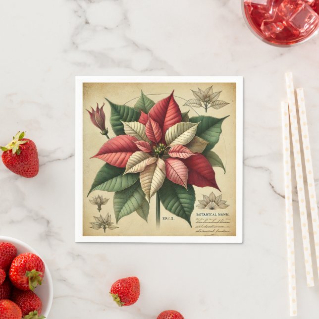 Retro Poinsettia Festive Botanical Decoupage Pappersservett (Insitu)