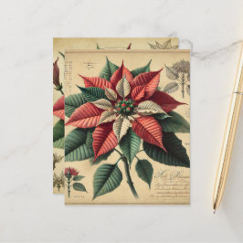 Retro Poinsettia Festive botaniskt skrapbook Pappe