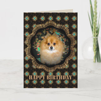 Retro Pommern Birthday Card Kort