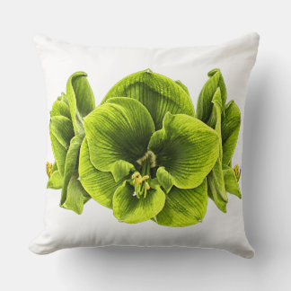 Retro Pop Art Grön Amaryllis Kuddcover Kudde