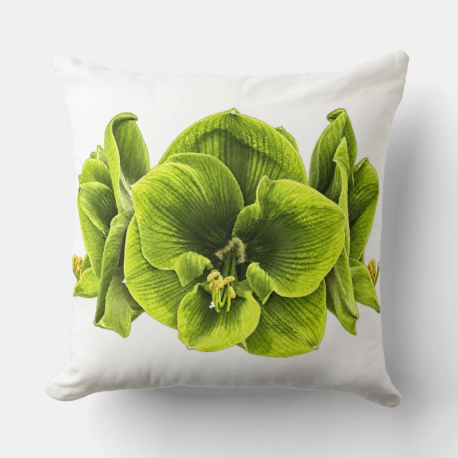 Retro Pop Art Grön Amaryllis Kuddcover Kudde (Framsida)