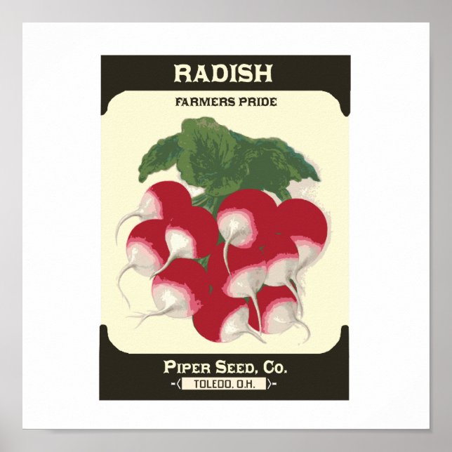 Retro Radish Vegetable Seed Packet Poster Skriv ut (Framsidan)