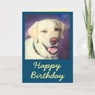 Retro Rolig hund kort och Grattis på födelsedagen-