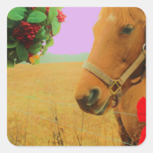 Retro rosa himlar jul Horse Fyrkantigt Klistermärke