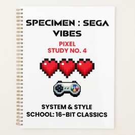 Retro Sega Vibes Pixelstudie Nr. 4
