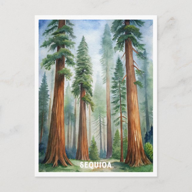 Retro Sequoia nationalpark Vykort (Framsida)