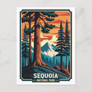Retro Sequoia nationalpark Vykort