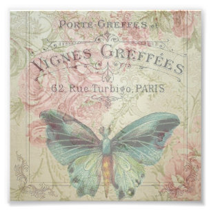 retro,shabby chic,vintage,land-rustik,blommigtar,b fototryck