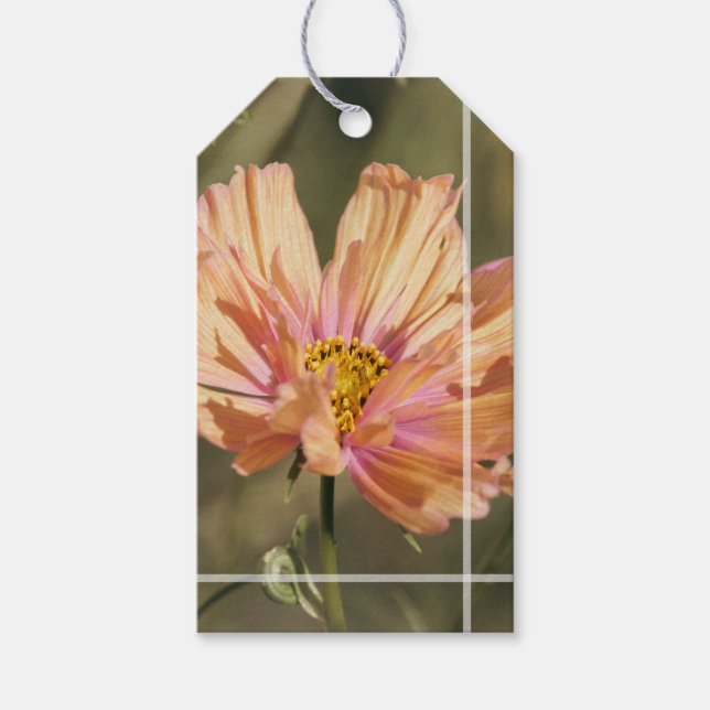 Retro sommar Cosmea Blommar  Presentetikett (Framsidan)