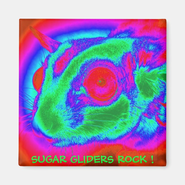 Retro Sugar Glider Magnet (Framsidan)