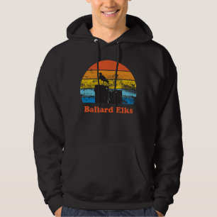 Retro Sunset & Fiskmås Hoodie