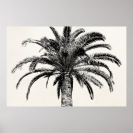 Retro Tropical Island Handflatan Träd i Black and  Poster