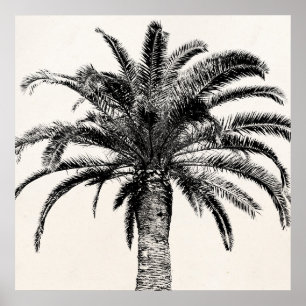 Retro Tropical Island Handflatan Träd i Black and Poster