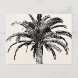 Retro Tropical Island Handflatan Träd i Black and Vykort