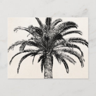 Retro Tropical Island Handflatan Träd i Black and Vykort
