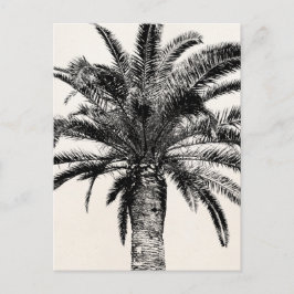 Retro Tropical Island Handflatan Träd i Black and Vykort