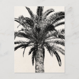 Retro Tropical Island Handflatan Träd i Black and Vykort