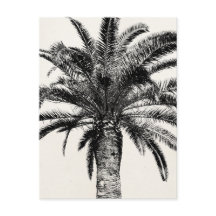 Retro Tropical Island Handflatan Träd i Black and