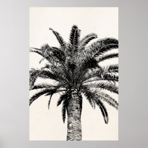 Retro tropisk öpalmträd i svartvitt poster