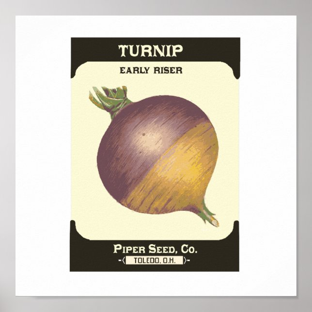 Retro Turnip Vegetable Seed Packet Poster Skriv ut (Framsidan)