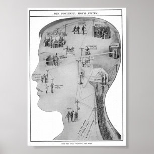 Retro-utbildning Poster