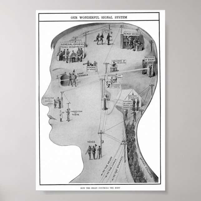 Retro-utbildning Poster (Framsidan)