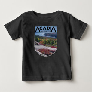 Retro Vintage Acadia National Park Maine Island T Shirt