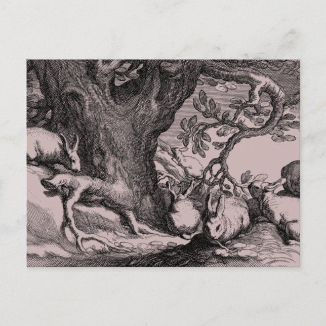 Retro Vintage Bunny Rabbits Vykort (Framsida)