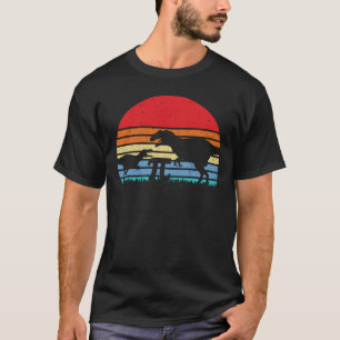 Retro Vintage Dinosaur silhouette Pi Dag 3.14 T Shirt