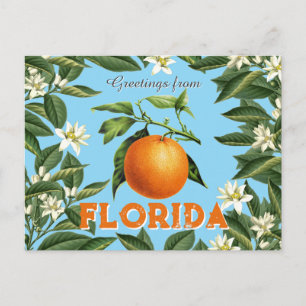Retro Vintage Hälsningar från Florida Orange Frukt Vykort