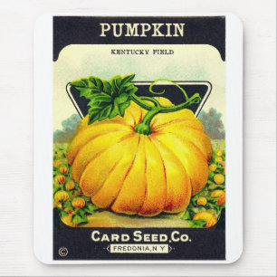 Retro vintageHalloween pumpa kärnar ur paket Musmatta