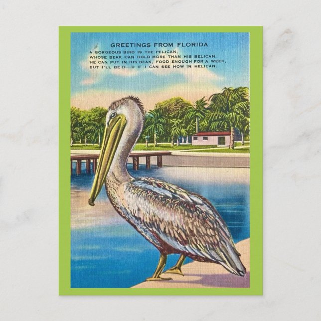 Retro vykort från Florida  (Framsida)
