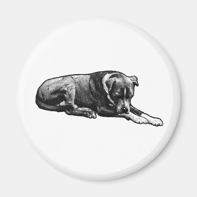 Retro Watch Hund Magnet (Framsidan)