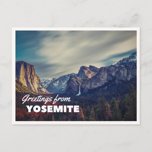 Retro Yellowstone Greetings Bison Grazing Blank Vykort (Framsida)