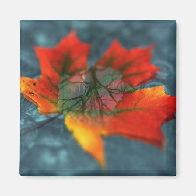 Retroreflektionsmagnet Magnet (Framsidan)