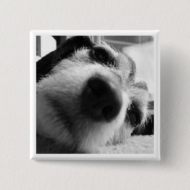 Retrospektivet täcker knapp (Framsida)