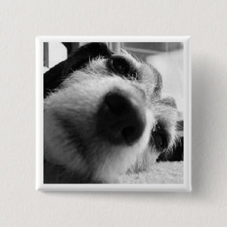 Retrospektivet täcker knapp