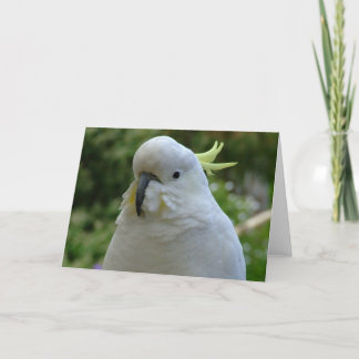 Retur av mandelmuncheren! kort