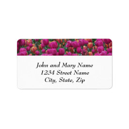Returadress av färgad Rosa Tulips Blommigt Adressetikett