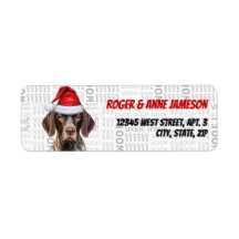 Returadress av Shorthair Pointer-Hund